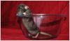 DSC_0106.jpg