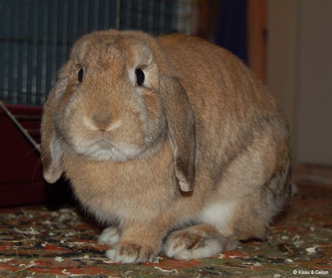 DSC_0008.jpg