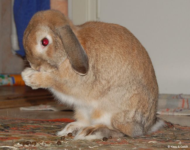 DSC_0027.jpg