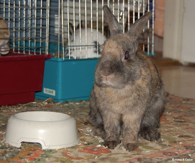 DSC_0037.jpg