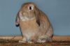 DSC_0091.jpg