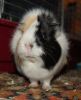 DSC_0175.jpg