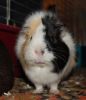 DSC_0177.jpg
