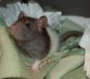 DSC_0019.jpg