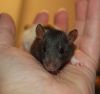 DSC_0324.jpg