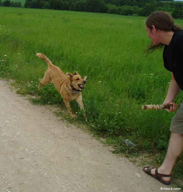 39_Oo, tal on teine pulk, miks ma siis seda kaasa tassin.jpg