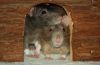 DSC_0008.jpg