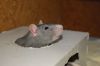 DSC_0031.jpg