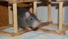 DSC_0055.jpg