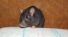DSC_0064.jpg