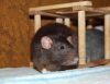 DSC_0076.jpg