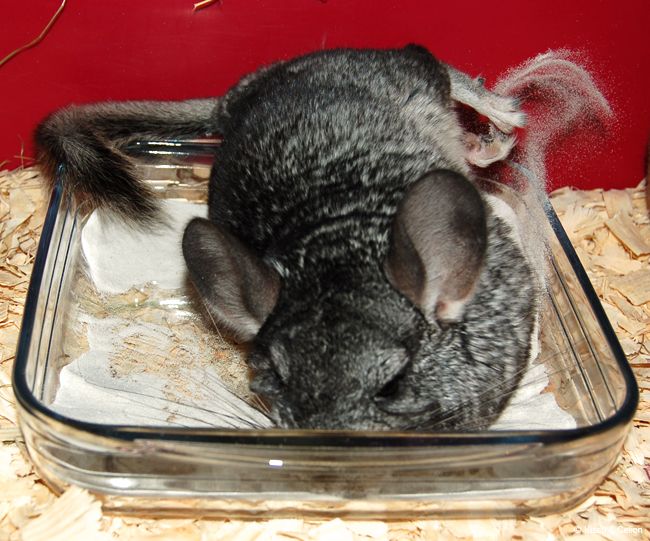 DSC_0025.jpg