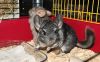 DSC_0021.jpg