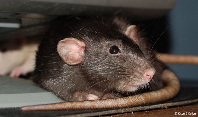 DSC_0076.jpg