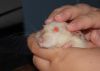 DSC_0078.jpg
