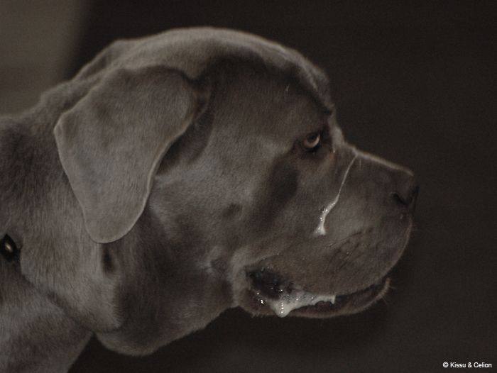 Picture_102.jpg