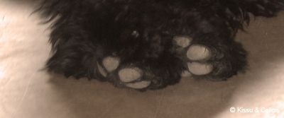 Picture_069.jpg
