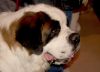 Picture_003.jpg