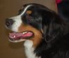 Picture_093.jpg