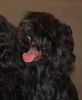 Picture_207.jpg