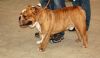Picture_220.jpg