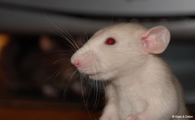 DSC_0035.jpg