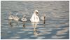 DSC_0084.jpg