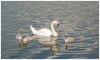 DSC_0092.jpg