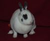 DSC_0172.jpg