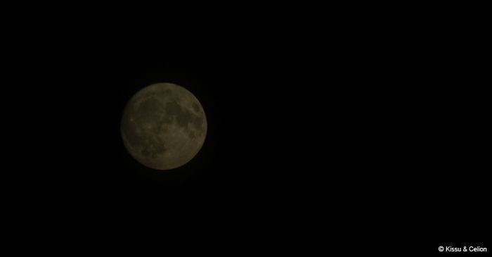 Picture_039.jpg