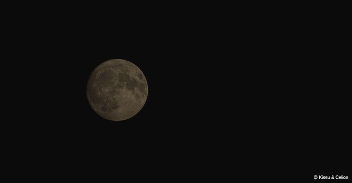 Picture_0391.jpg