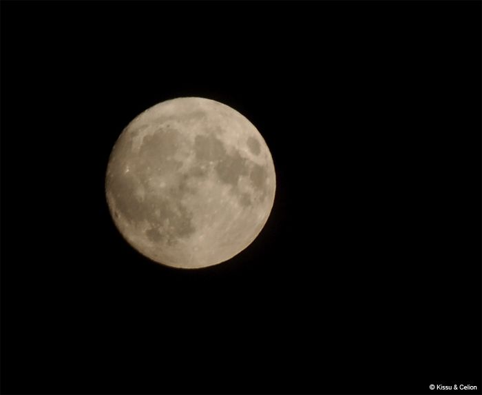 Picture_0461.jpg