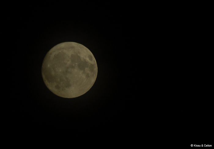 Picture_047.jpg
