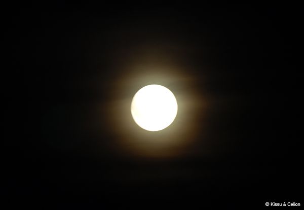 Picture_057.jpg
