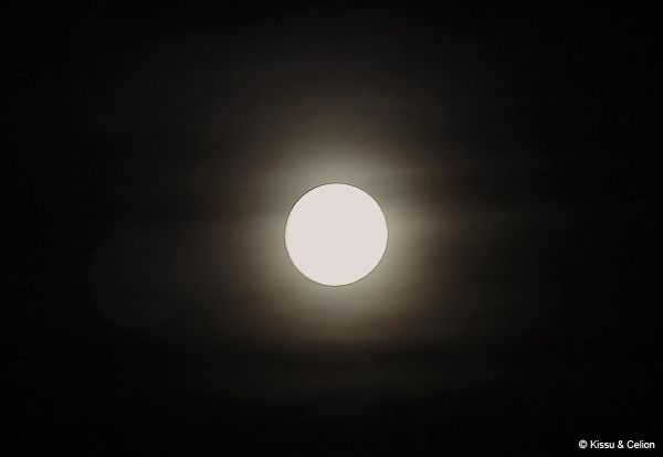 Picture_0571.jpg