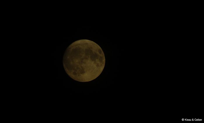 Picture_065.jpg