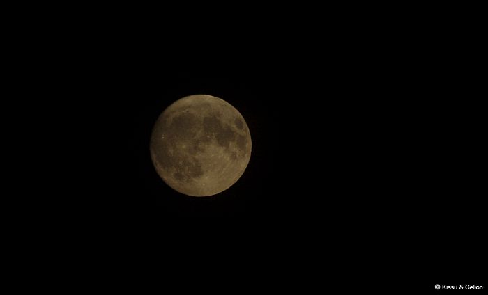 Picture_0651.jpg