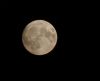 Picture_0461.jpg
