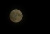 Picture_047.jpg