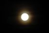 Picture_057.jpg