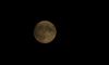 Picture_0651.jpg