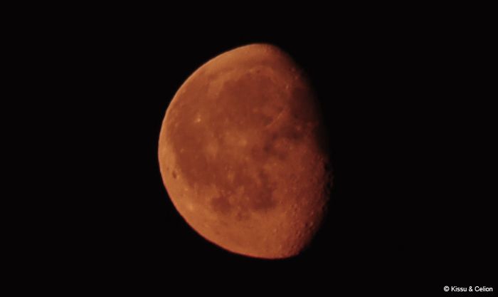 DSC_0166.jpg