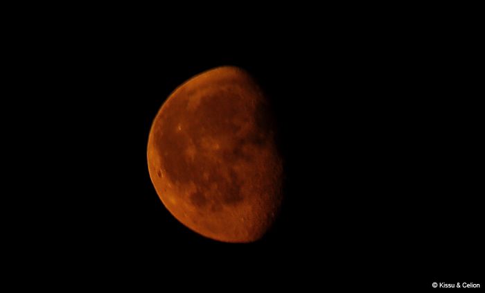 DSC_0179.jpg