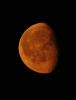 DSC_0165.jpg
