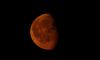 DSC_0179.jpg
