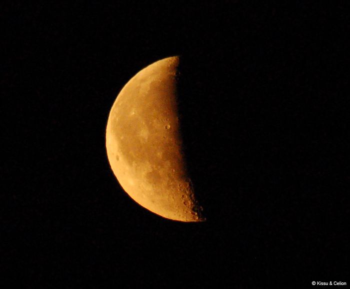 DSC_0179.jpg