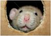 DSC_0047.jpg