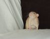 DSC_0067.jpg