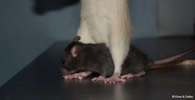 DSC_0043.jpg