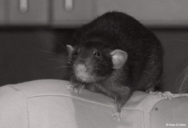 DSC_0099.jpg